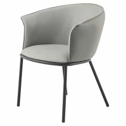 Best reviews of 🔥 New Pacific Direct Seymor 18.5" Metal And Leather Dining Chair With Arms In Gray 🛒